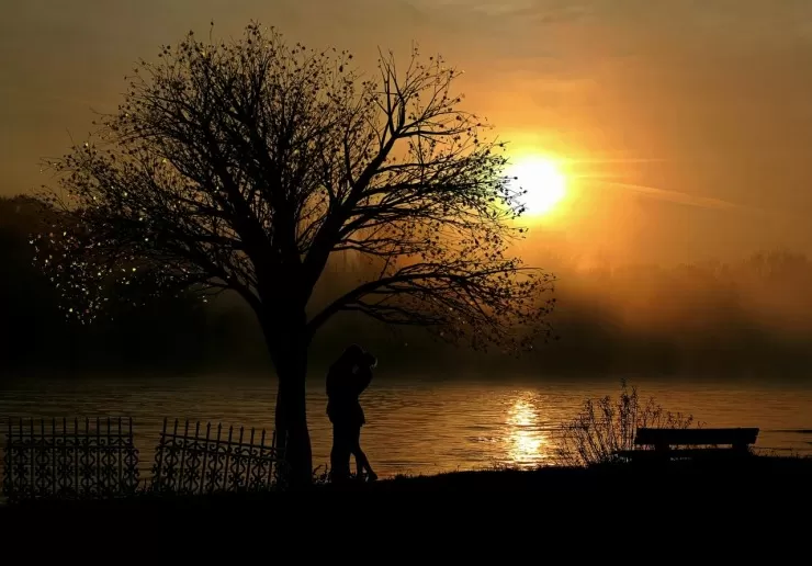 proposal in the evening