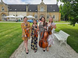 Photo of Violin solo, duet, string trio, quartet