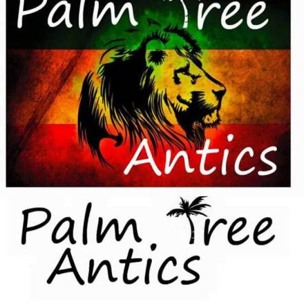 Palm Tree Antics Reggae Band