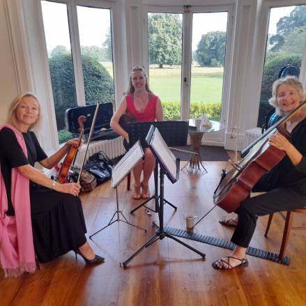 Sounds Interesting String Quartet