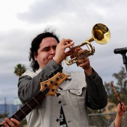 Trumpeter