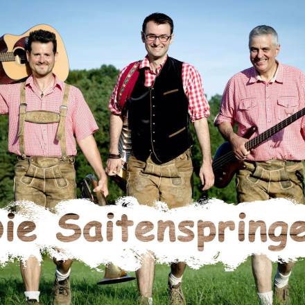 Die Saitenspringer
