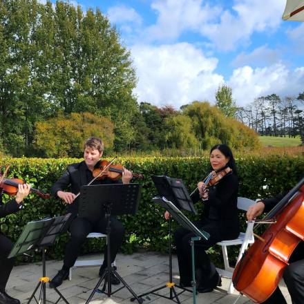 Auckland Salut String Quartet