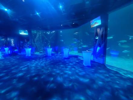 Wedding/event dj (photo 9)