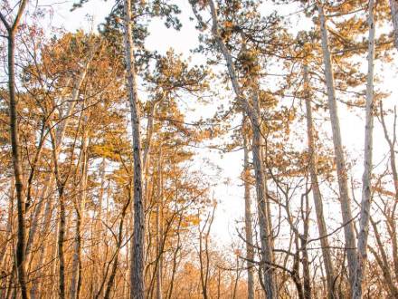Blau Photography (photo 25)