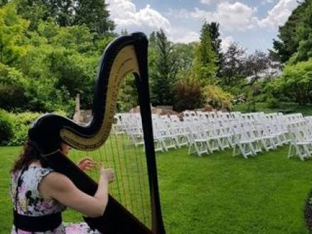 The Classic Harpist (photo 8)