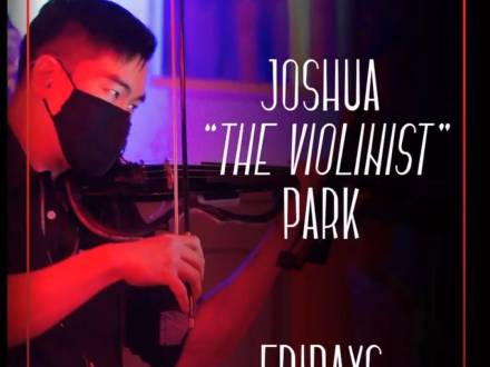 Electric Violin (photo 1)