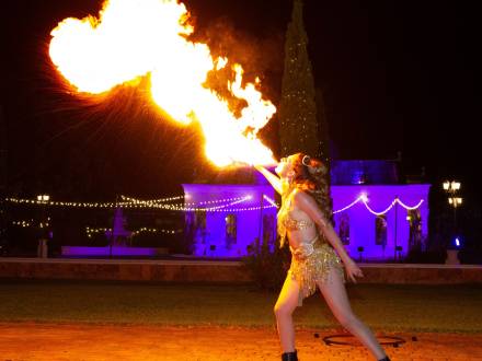 Multi prop fire performer (photo 5)