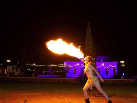 Multi prop fire performer (photo 1)