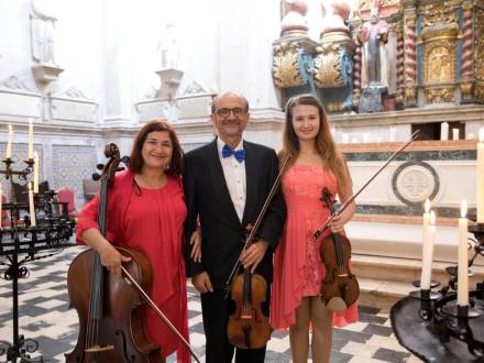 String trio (photo 2)