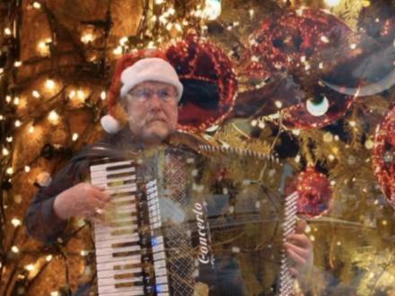 Roy Helsing - Accordionist (photo 3)