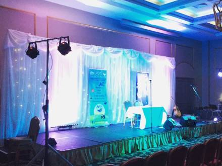 Wedding dj, sound lighting production (photo 3)