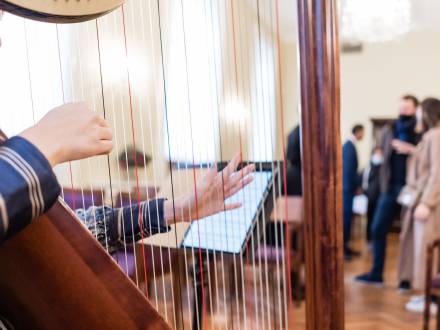 Laura Marquino - Harpist (photo 12)