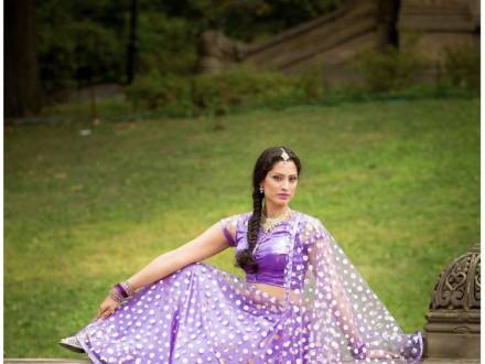 Bollywood Extravaganza (photo 5)