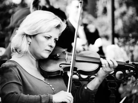 Amandaviolinist (photo 3)