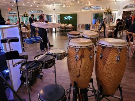 Conga Player NYC/Percussion/CongasAndChill (photo 52)
