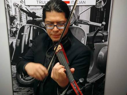Acoustic and electric violin performance (photo 7)