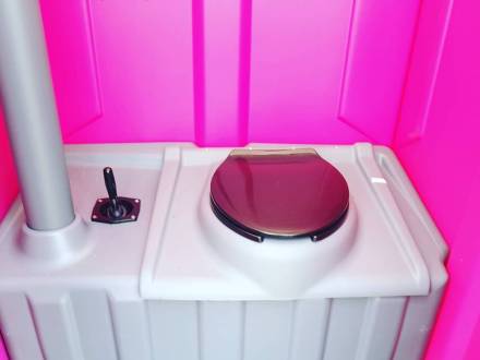 A Star All Loos (photo 5)