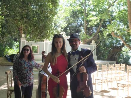 String trio (photo 3)
