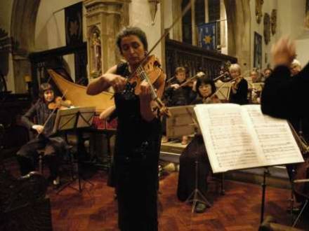Monica solo viola (photo 11)