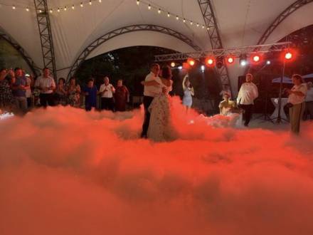 Wedding dj, sound lighting production (photo 33)
