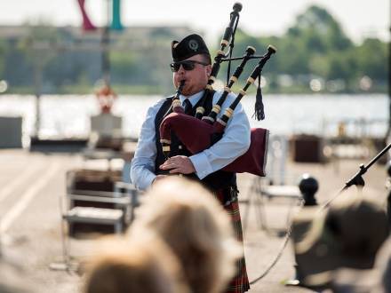 Perry The Piper (photo 3)