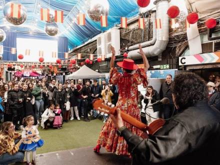 Flamenco y Danza/Grupo Flamenco de Londres (photo 27)