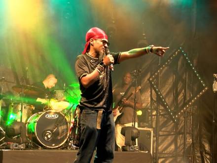 Reggae Falls Band (photo 1)