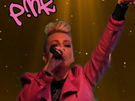 Stupid Girl Pink Tribute (photo 2)