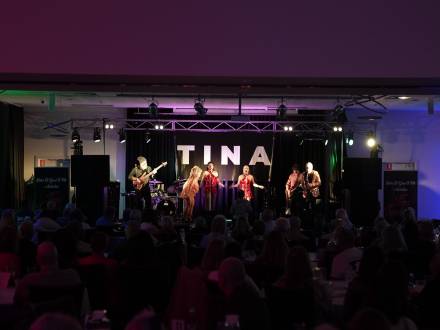 Tina Turner Spectacular (photo 2)