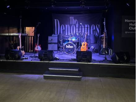 The Denotones 60s Show (photo 12)