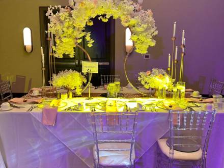 Arabic Wedding DJ Virginia Leylaty (photo 79)