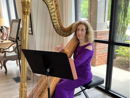 Harpnotes (photo 2)