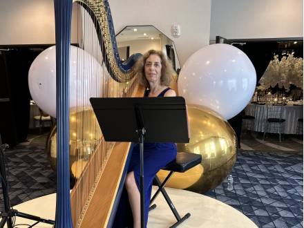 Harpnotes (photo 1)