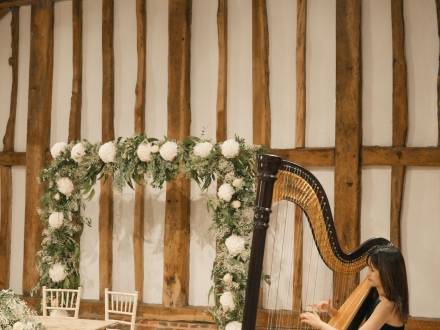 Dorothy Harpist (photo 7)