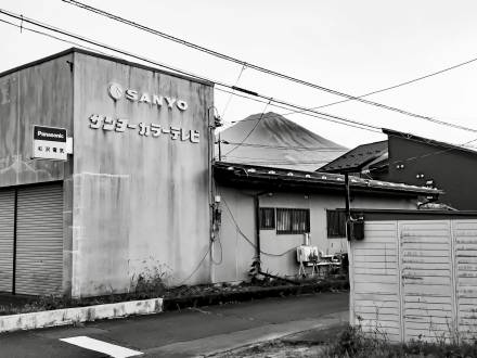 World Photographer (photo 8)