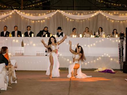 The Zarina Bellydance Twins (photo 3)