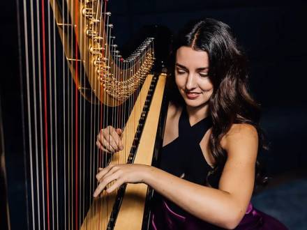 Marianna - Classic Harp in Venice Verona (photo 1)
