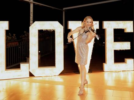 Elegant Electric Violin Show (photo 26)