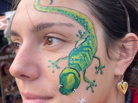 Fairy Face Paint (photo 8)