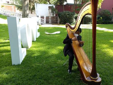 Arpa de concierto (photo 8)