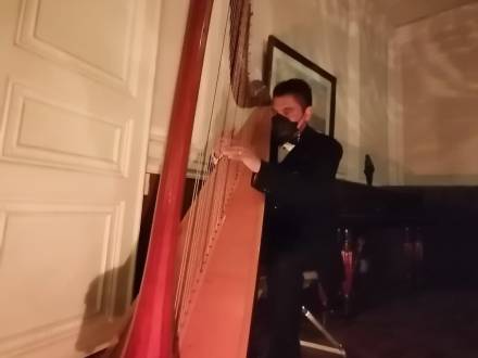 Arpa de concierto (photo 12)