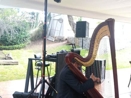 Arpa de concierto (photo 13)