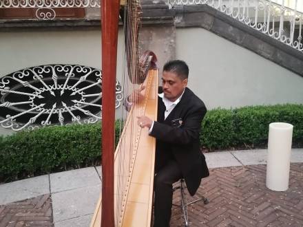 Arpa de concierto (photo 0)