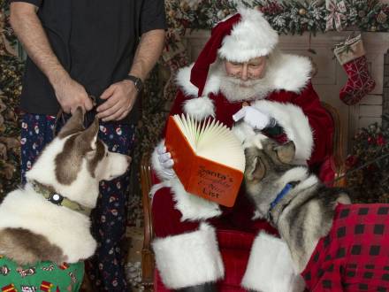 Santa Dave: The Best Claus (photo 2)