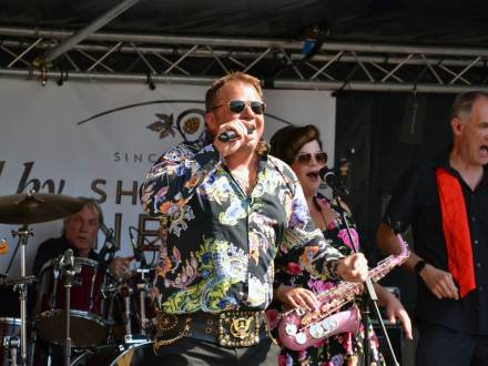 Elvis type tribute band (photo 0)