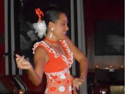 Flamenco Tropical (photo 29)