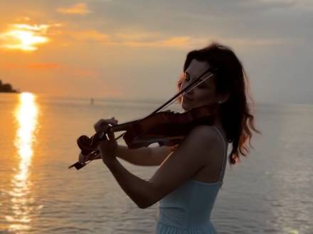 Wonder Violin (photo 3)