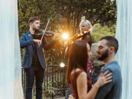Luxury violinists (photo 5)