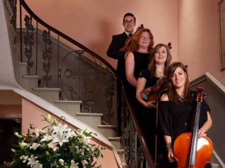 Vitula String Quartet (photo 5)